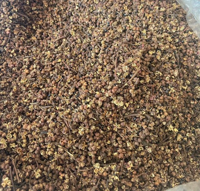 Mắc khén linh hồn gia vị núi rừng Tây Bắc - Ảnh sưu tầm Mắc khén linh hồn gia vị núi rừng Tây Bắc - Ảnh sưu tầm