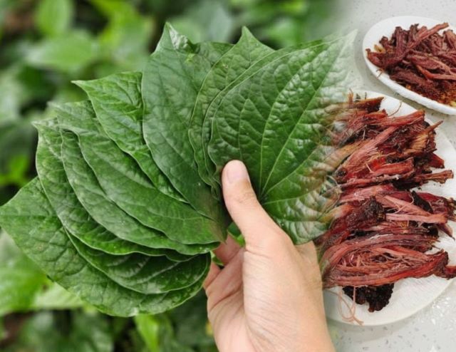 Trâu gác bếp xào lá lốt Trâu gác bếp xào lá lốt